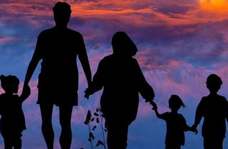 La familia ́ ́ Plataforma de la Sociedad ́ ́